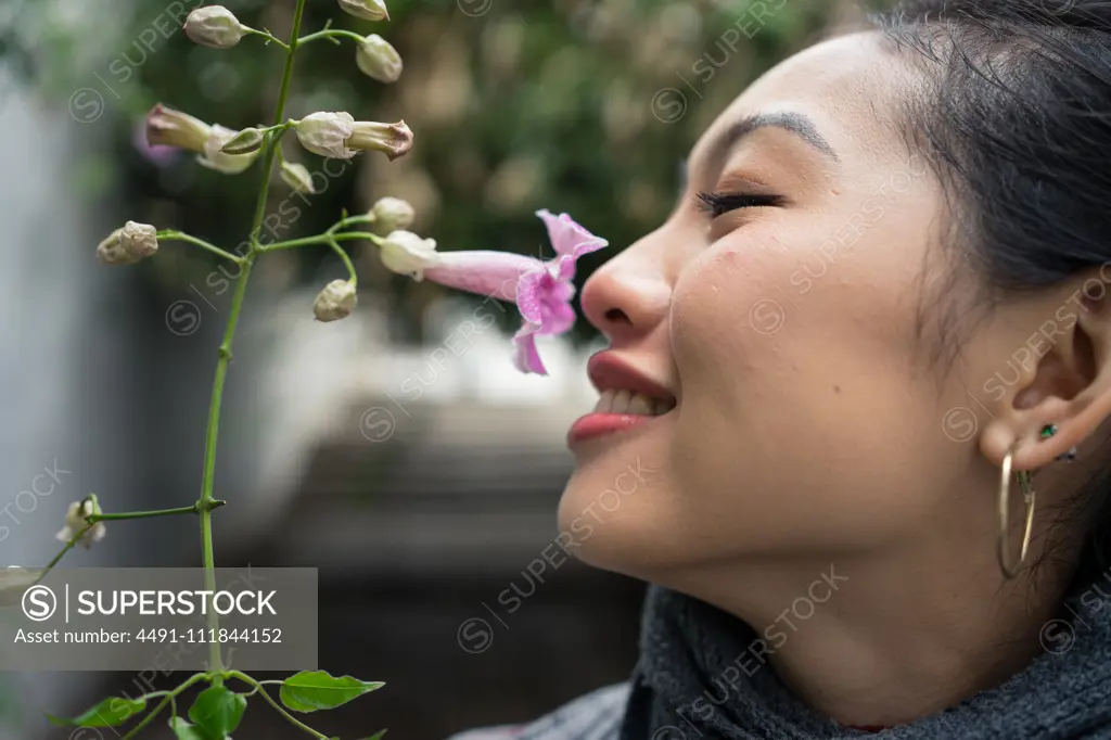 Closeup of crop Asian female on vacation smiling while enjoying smell of purple flower with lane on blurred background at Albaicin in Granada;Charming Asian female on vacation sniffing flower at city street