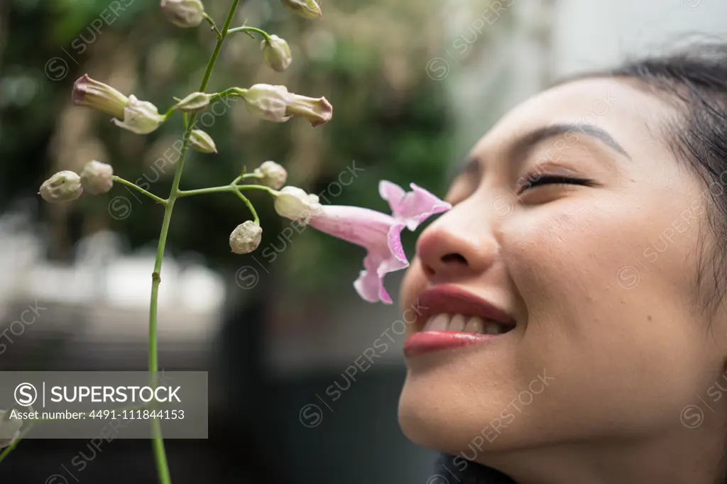 Charming Asian female on vacation sniffing flower at city street