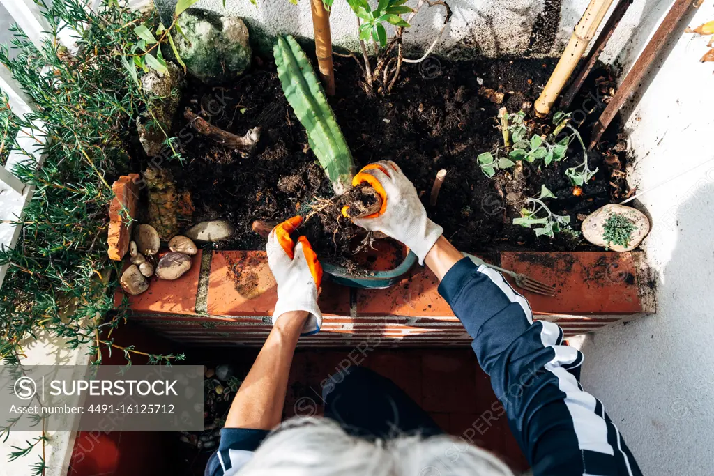 Faceless female gardener caring about plants in garden