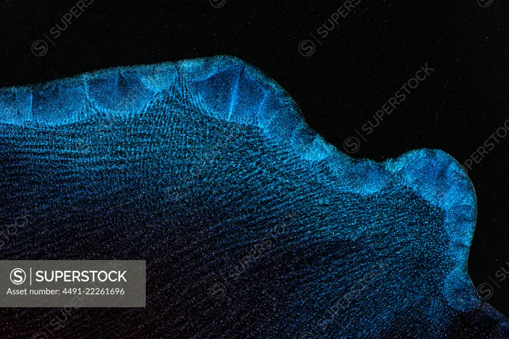 Closeup dust of metallic pigment sparkling blue