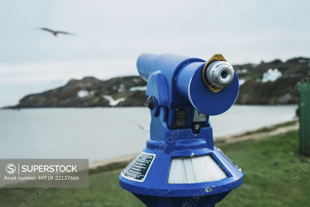 Blue binoculars and flying bird in park at seaside.