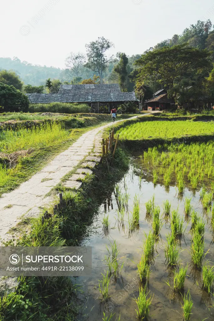 Tourist walking on green meadow