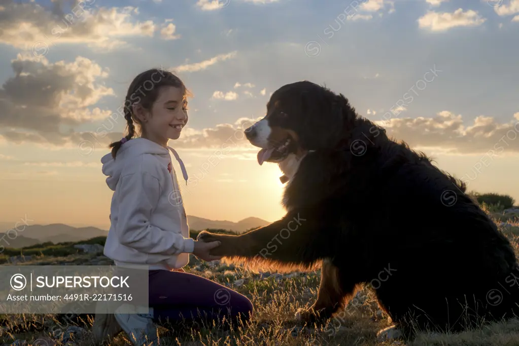 Beautiful little girl and her dog playing at sunset together