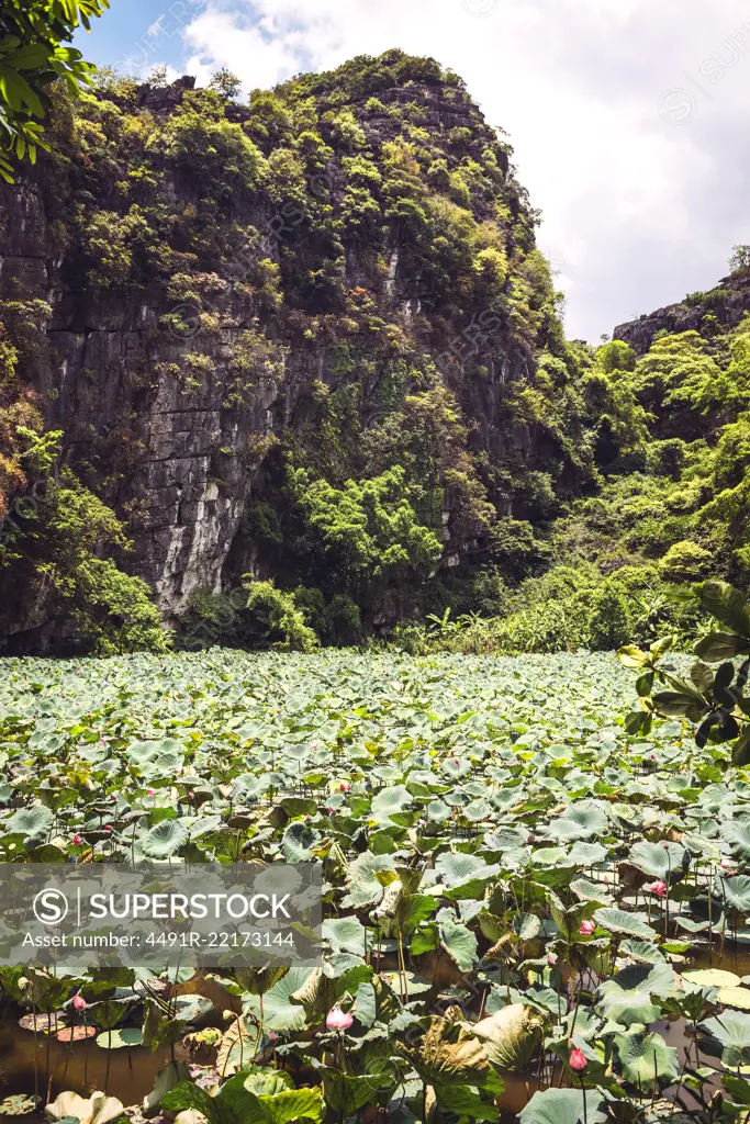 River Ngo Dong at TamCoc, Ninhbinh, Vietnam; famous for tourism at Vietnam.