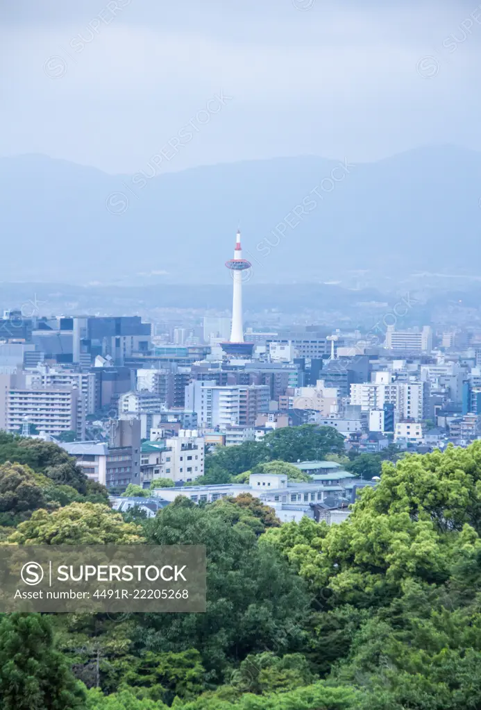 View of forest and modern city