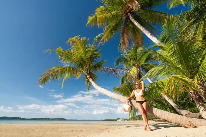 Beautiful female tourist leaning on a palm and admiring picturesque view of sandy beach