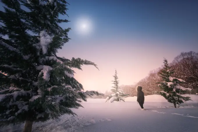 Back view of female silhouette going on snow terrain around green firs under picturesque sky