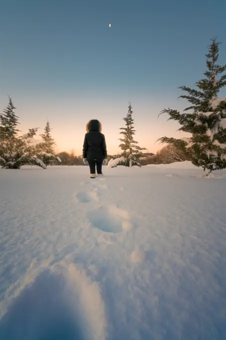 Back view of female silhouette going on snow terrain around green firs under picturesque sky