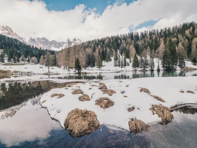 Beautiful landscape of snowy shore water and dry green forest