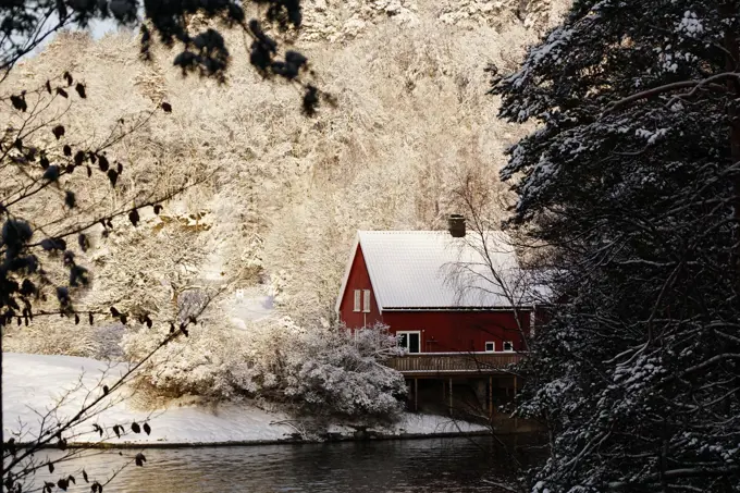 Cozy red colored country house on shore of remote river surrounded with white frosty trees in winter woods