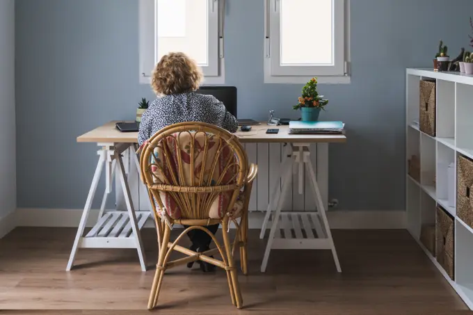 Back view of adult woman in casual clothes working on laptop in earphones at room decorated with cactuses in ceramic pots