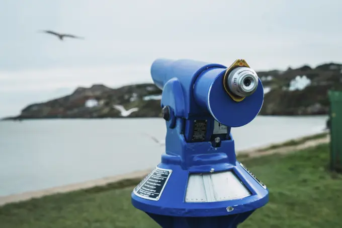 Blue binoculars and flying bird in park at seaside.