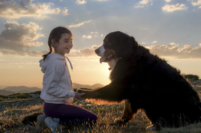 Beautiful little girl and her dog playing at sunset together