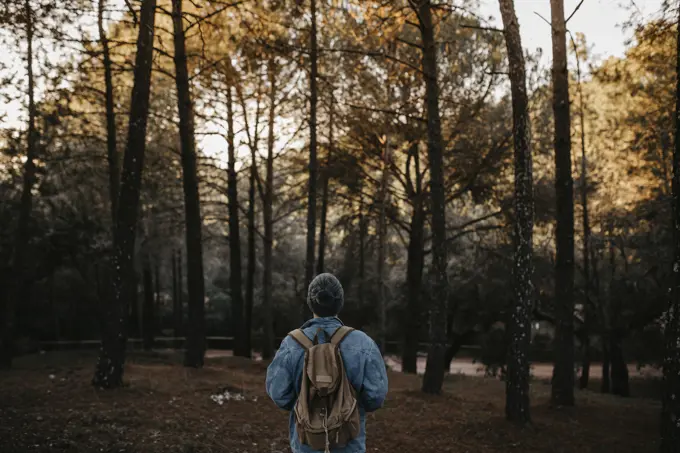 Back view of a tourist walking in the forest. Horizontal outdoors shot.