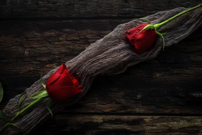 red roses with dark background. Valentine's Day. Love