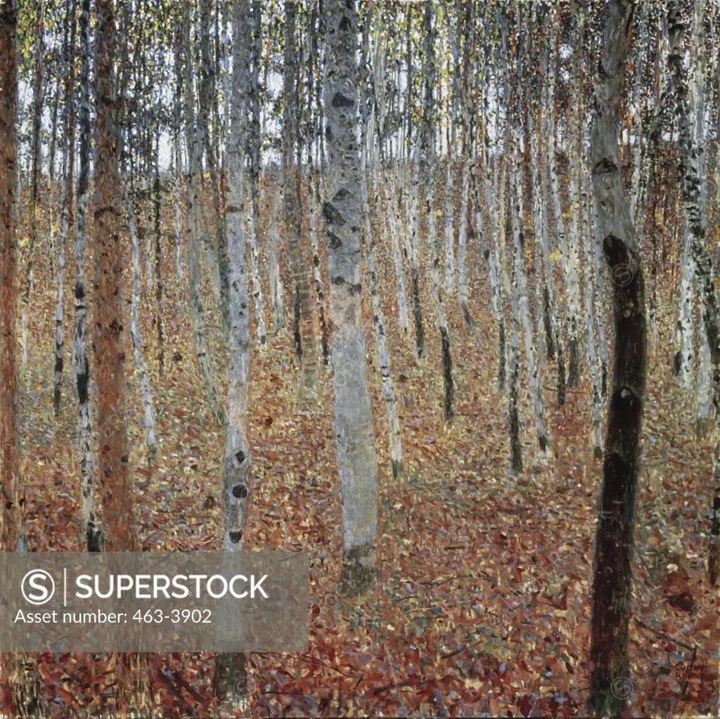 Beech Forest IKlimt, Gustav,1862-1918,Austrian painter.Buchenwald I, (Beech Forest I), c.1902.Oil on canvas, 100 × 100 cm.Staatliche Kunstsamlungen Dresden, Galerie Neue Meister, Dresden,Germany.