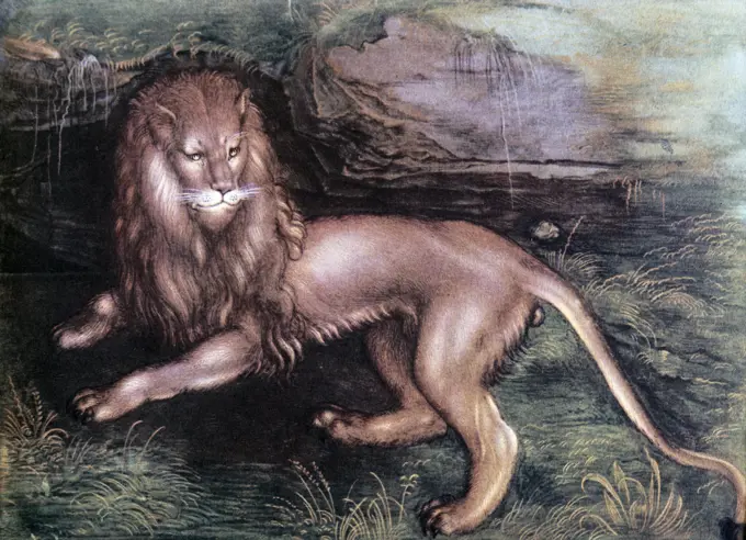 The Lion Albrecht Durer (1471-1528 German)