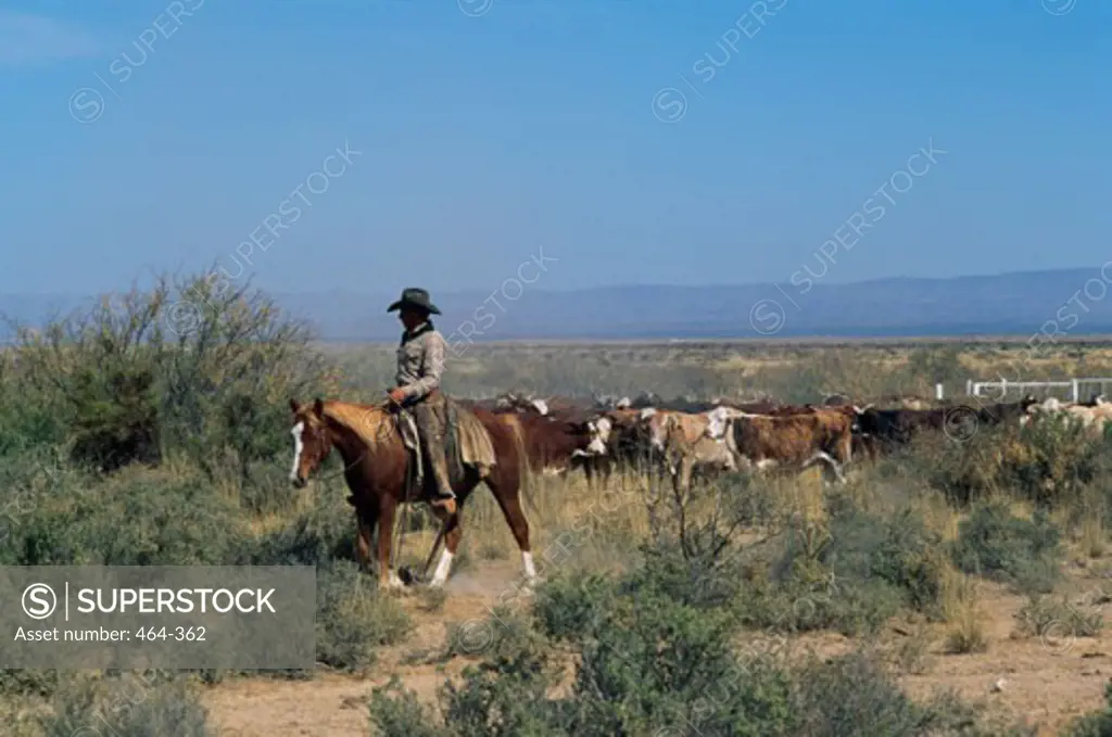 Figure 2 Ranch Salt Flat Texas USA