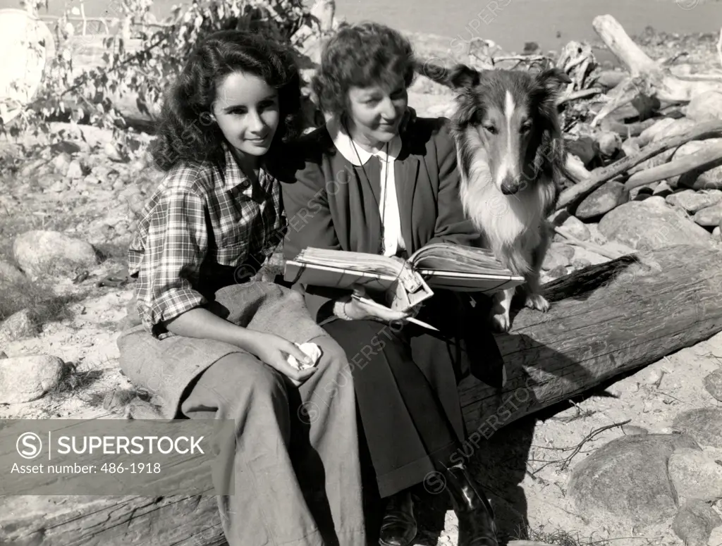 Scene from 'Courage of Lassie' movie with Elizabeth Taylor