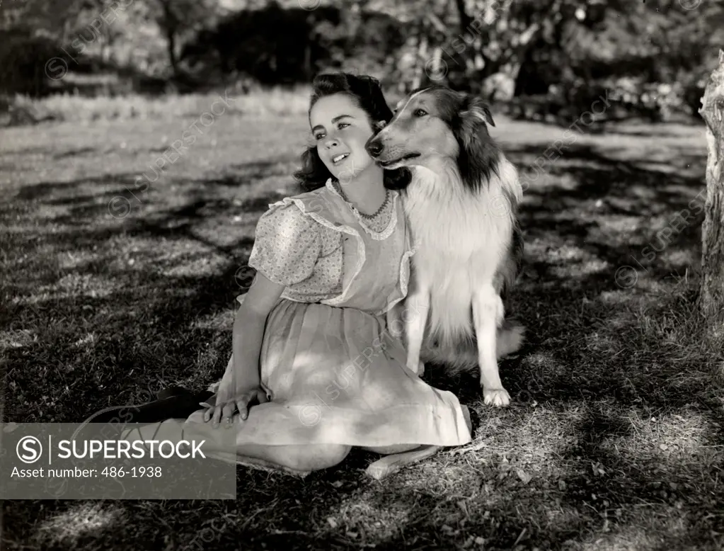 Scene from 'Courage of Lassie' movie with Elizabeth Taylor