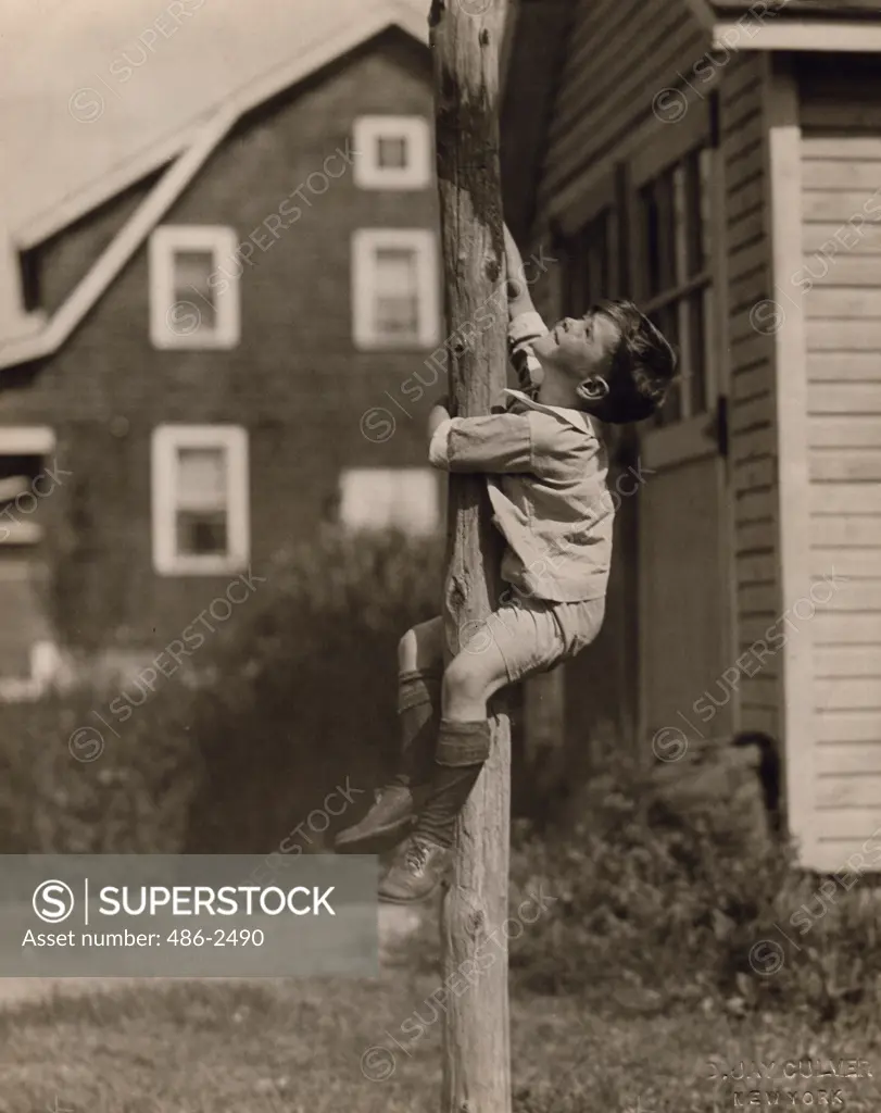 Boy climbing wooden pole