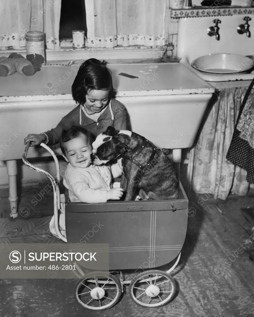 Girls playing with dog