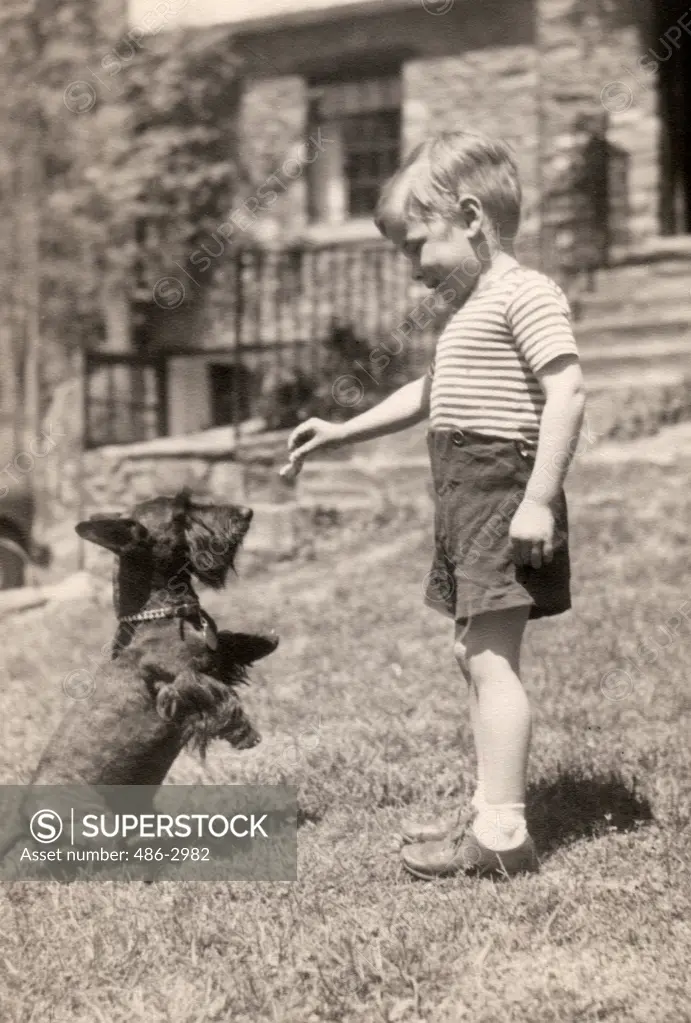 Boy playing with dog in backyard