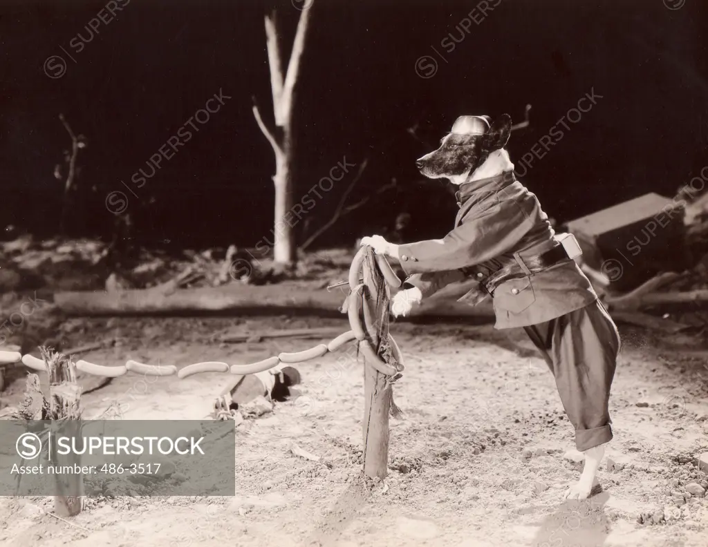 Dog soldier leaning against pole