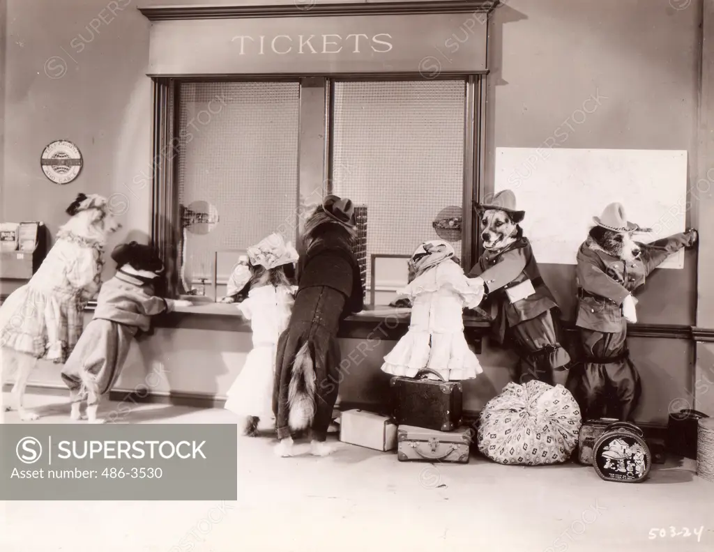 Dog passengers buying tickets in station