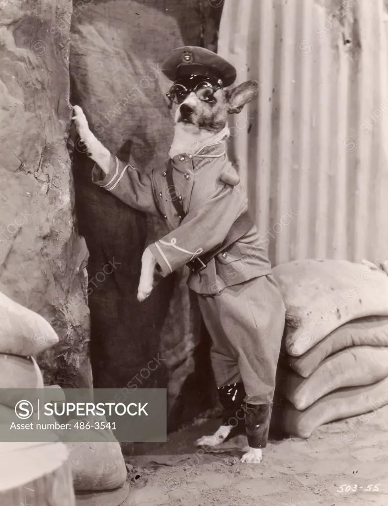 Dog officer in front of sand sacks