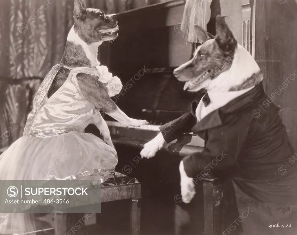 Jiggs and Buster playing piano