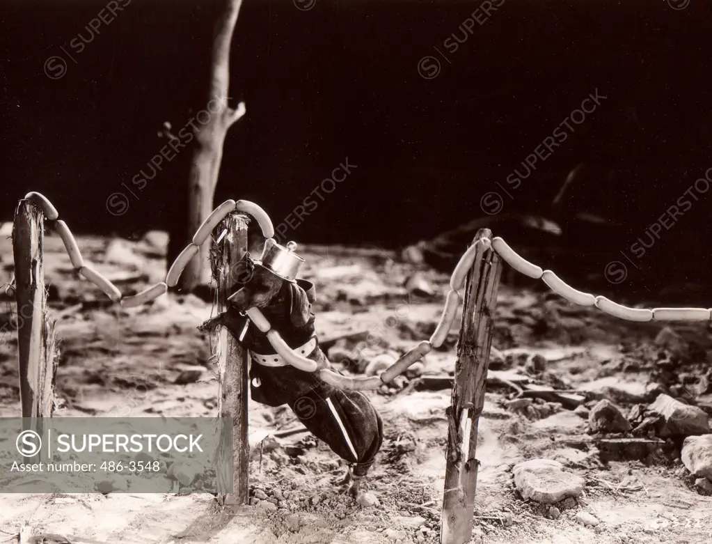 Dog soldier eating sausage boundary