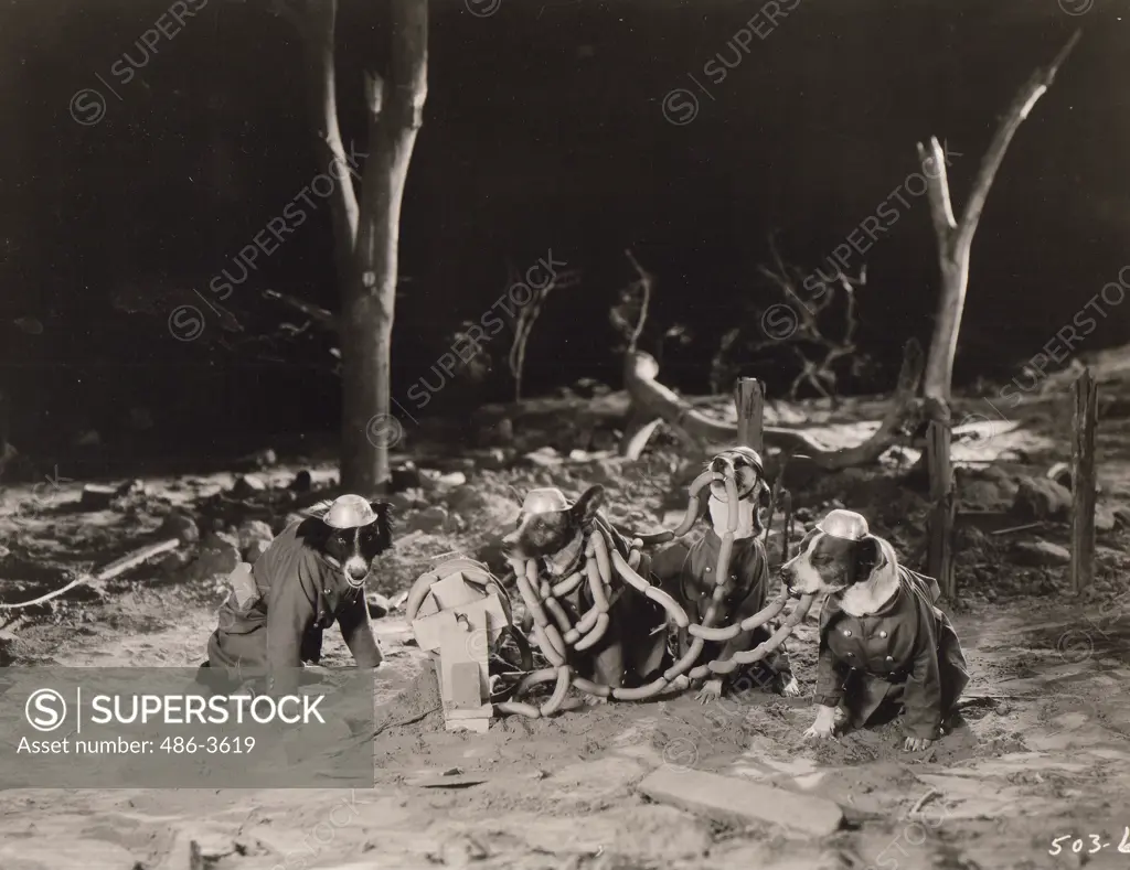 Dogs dressed up as soldiers in trenches eating sausages