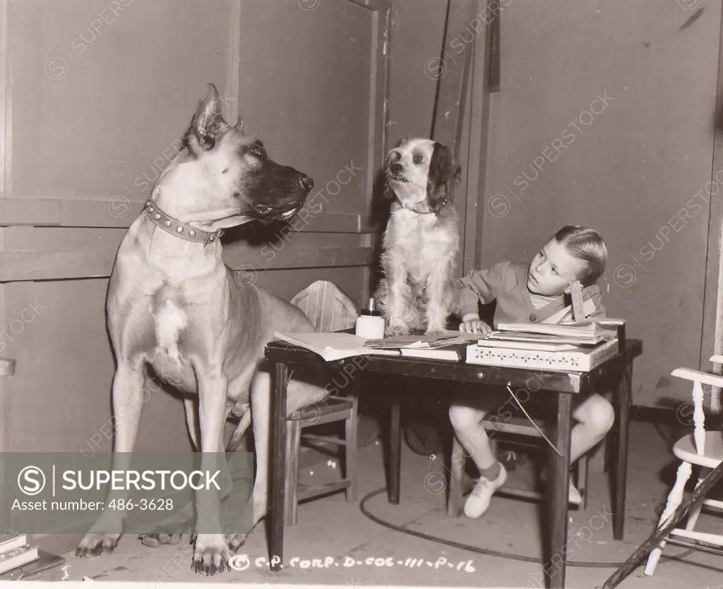 Blonde girl with two dogs sitting by table