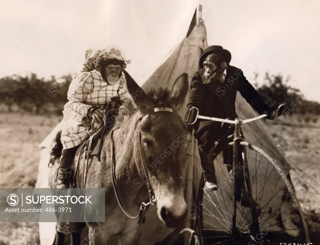 Scene from ""The Little Covered Wagon"" Tiffany chimp comedy