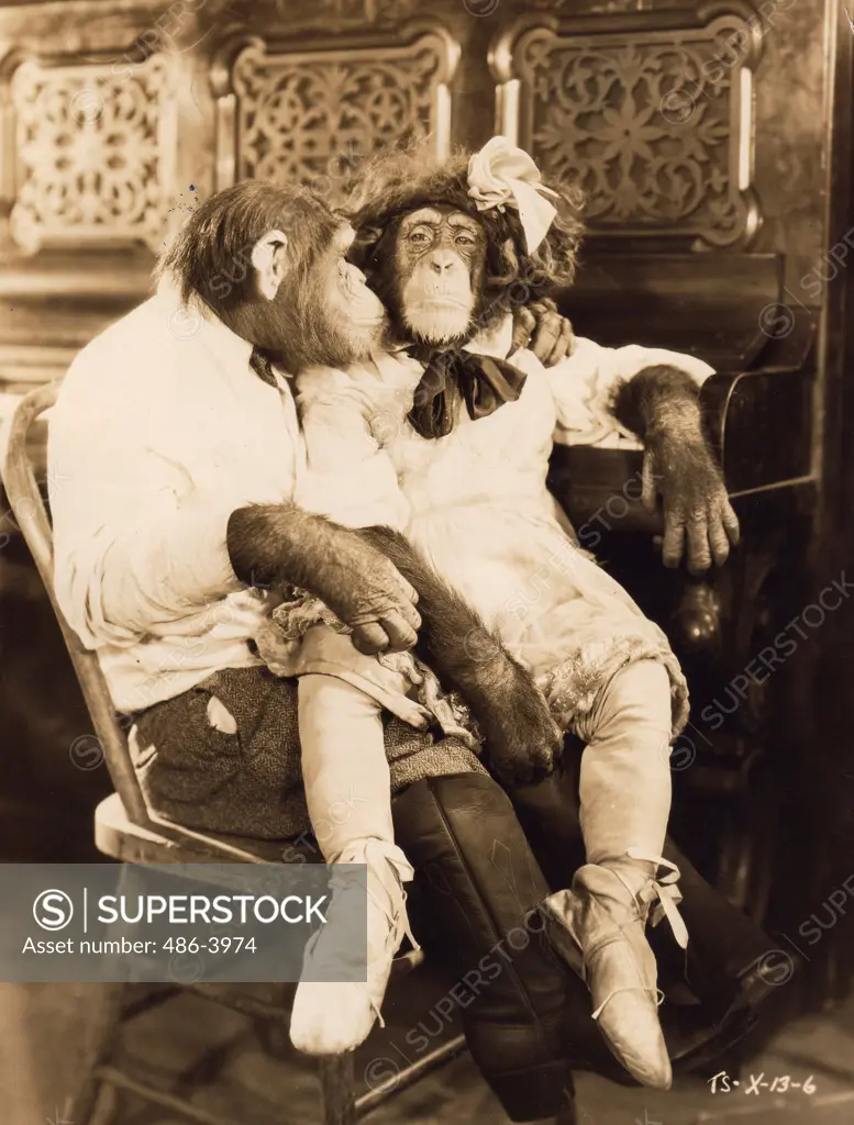 Scene from Tiffany talking chimp