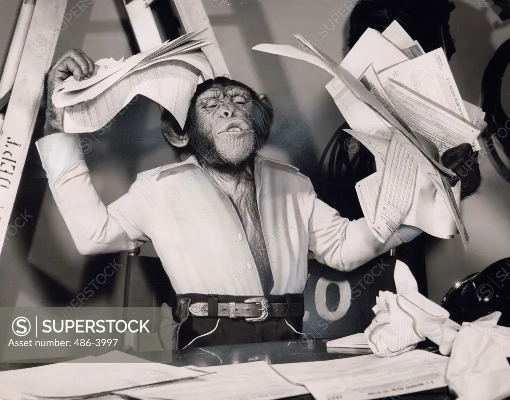 Movie scene with chimp holding paper sheets