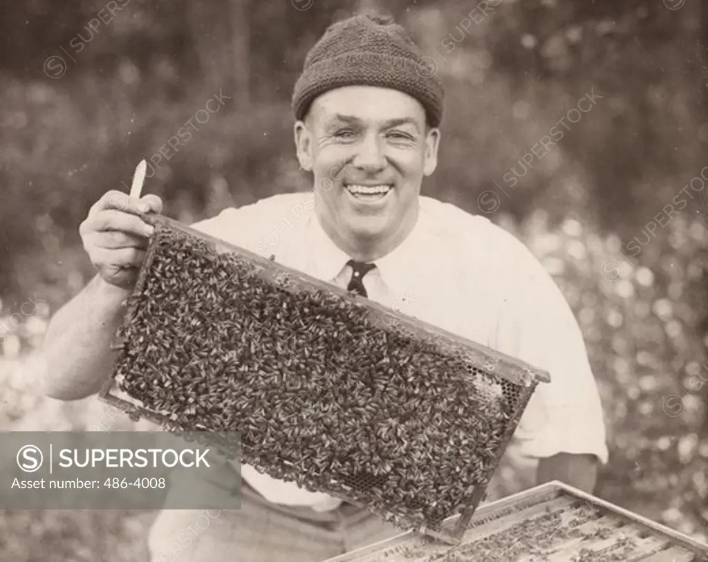 USA, Massachusetts, Cape Cod, Charles Bradford Hathaway, Bee Expert