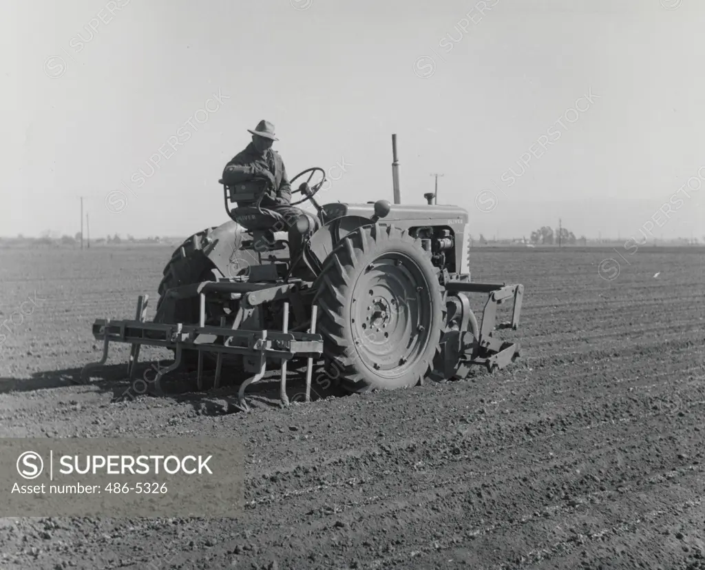 USA, California, Salinas Valley, Oliver Super 77 diesel tractor cultivating 2-row-beds of lettuce, Chattin cultivator with regular Oliver shovels, March 1956