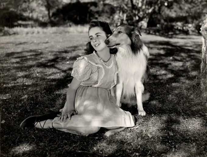 Scene from 'Courage of Lassie' movie with Elizabeth Taylor