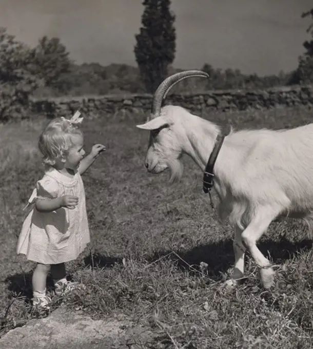 Little girl with goat standing face to face