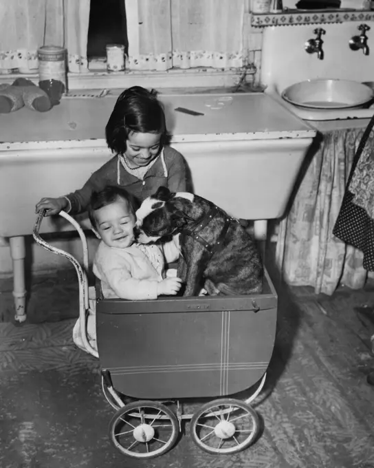 Girls playing with dog