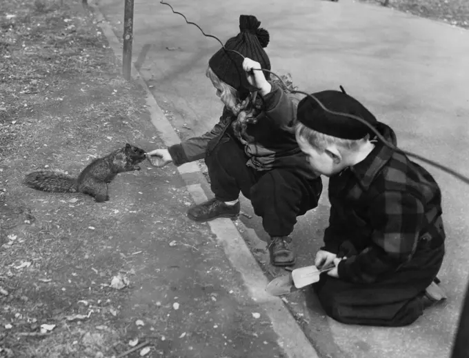 Children feeding squirrel on street