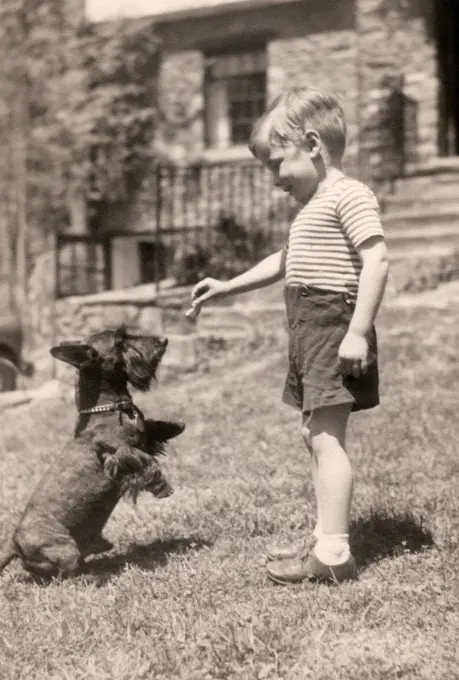 Boy playing with dog in backyard