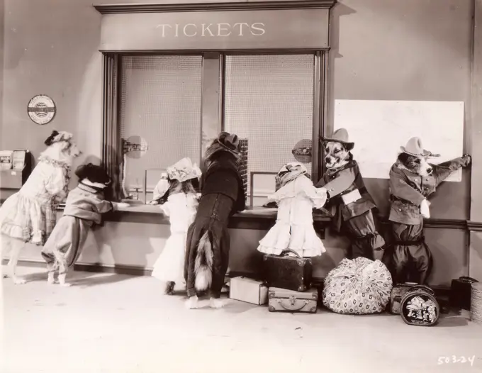 Dog passengers buying tickets in station