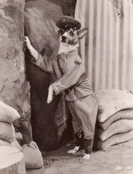 Dog officer in front of sand sacks