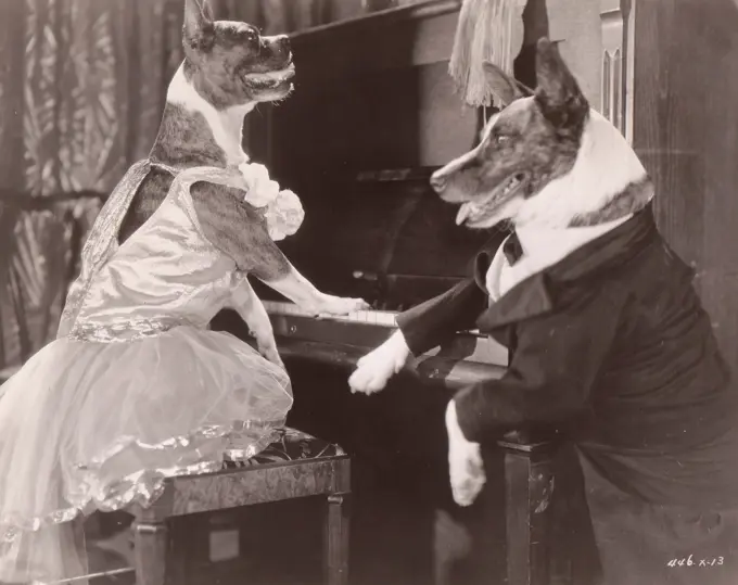 Jiggs and Buster playing piano