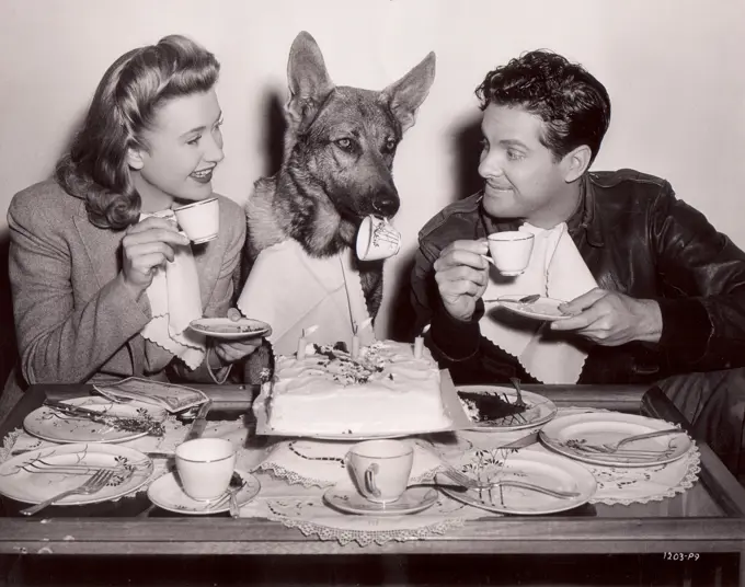 Actors Priscilla Lane and Robert Cummings with dog Gray Shadow, in film ""Saboteur""