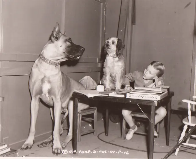 Blonde girl with two dogs sitting by table