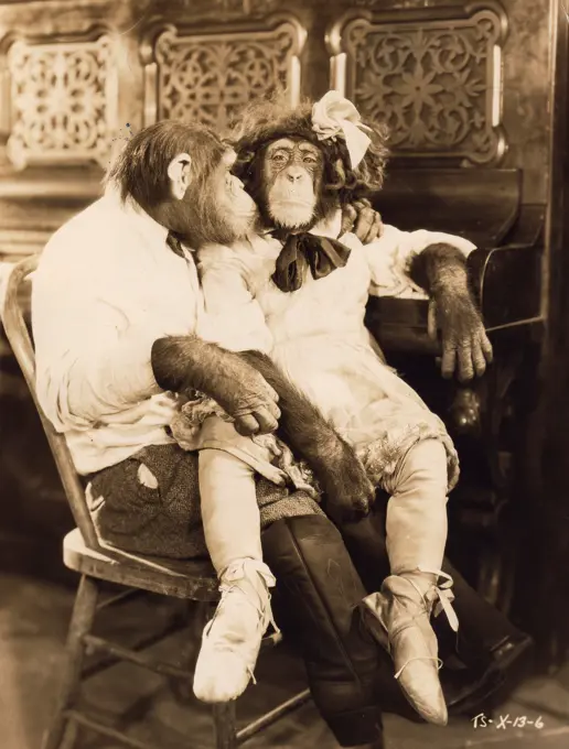 Scene from Tiffany talking chimp